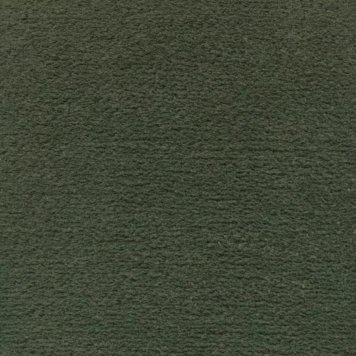 MOLERAYP24005 jpg