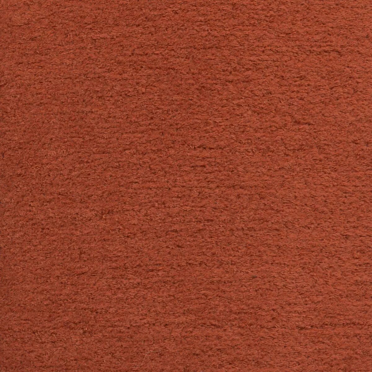 MOLERAYP24007 jpg