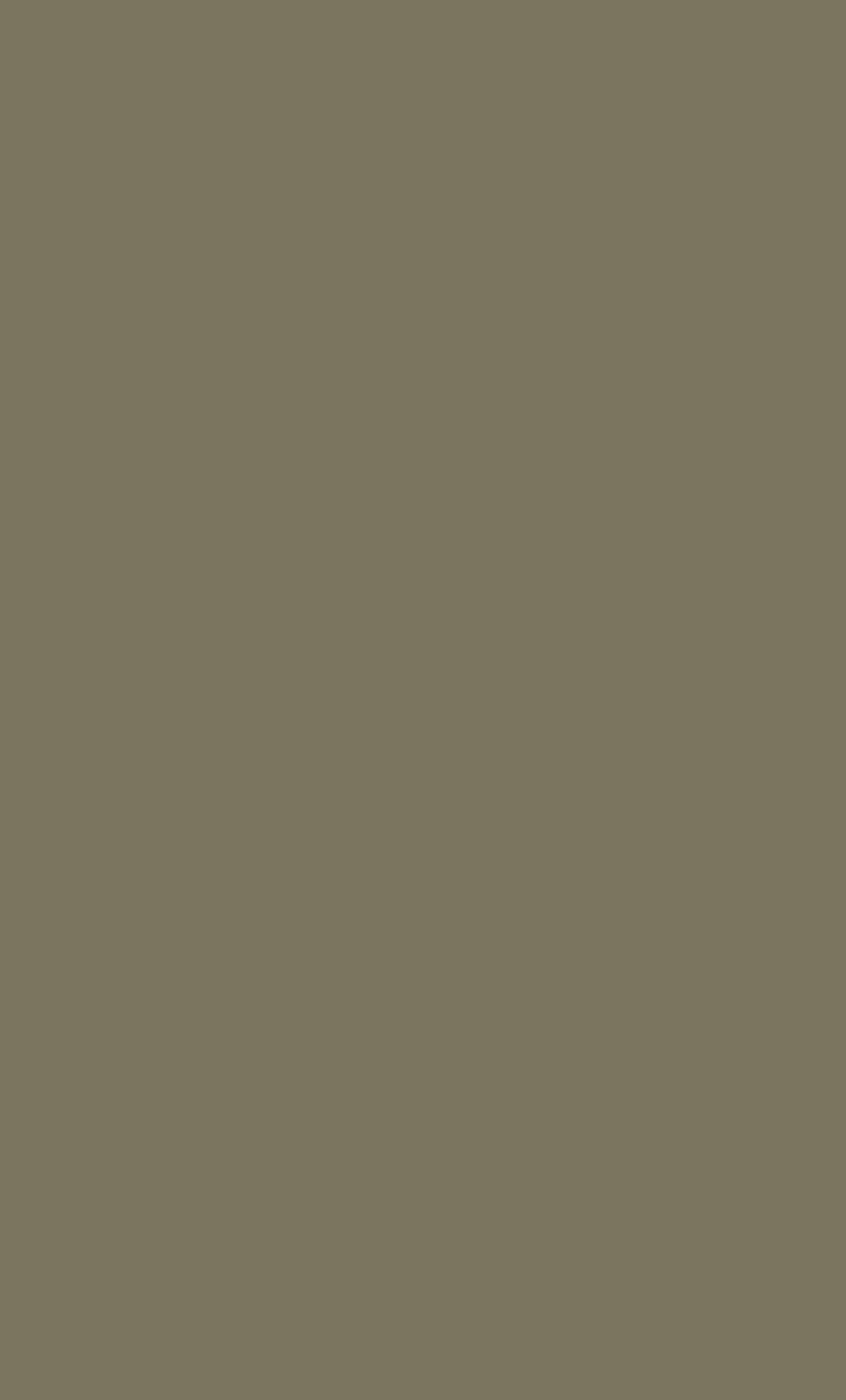 RAL 6013 Olive Green